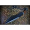 Powder Coated Carbon Steel Fixed Blade Bowie Knife Custom Handmade Leather Handle Knife Special Hunt