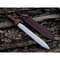 Full Tang Handmade Sword D2 Tool Steel Hunting Fixed Blade Sword Viking Outdoor (3).jpg