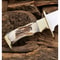 Stag Antler Custom Handmade Bowie Knife Fixed Blade D2 Tool Steel Survival Out (3).jpg