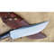 Fixed Blade Hunting Bowie Knife Custom Handmade Full Tang Survival Knife Outdoor (8).jpg