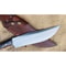 Fixed Blade Hunting Bowie Knife Custom Handmade Full Tang Survival Knife Outdoor (8).jpg