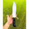 Custom Handmade Buffalo Horn Handle Bowie Knife Full Tang Hunting Free Engraving (2).jpg