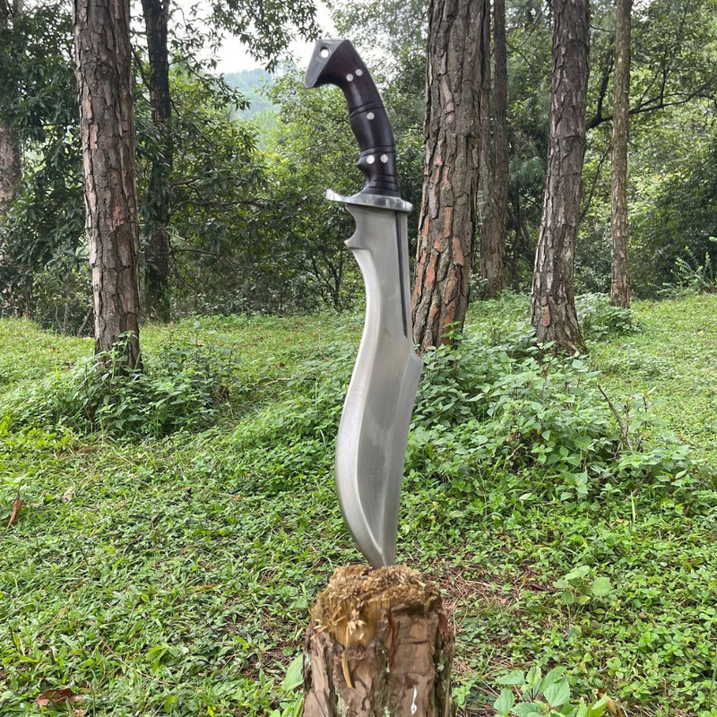 Custom Handmade Carbon Steel Bowie Knife Fixed Blade Full Tang Hunting Survival (3).jpg