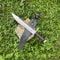 Custom Handmade Saktisali Bowie Knife Full Tang Bowie Survival Outdoor Bowie (10).jpg