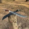Carbon Steel Fully Forged Sword Full Tang Tactical Machete Sword Viking Camping (7).jpg