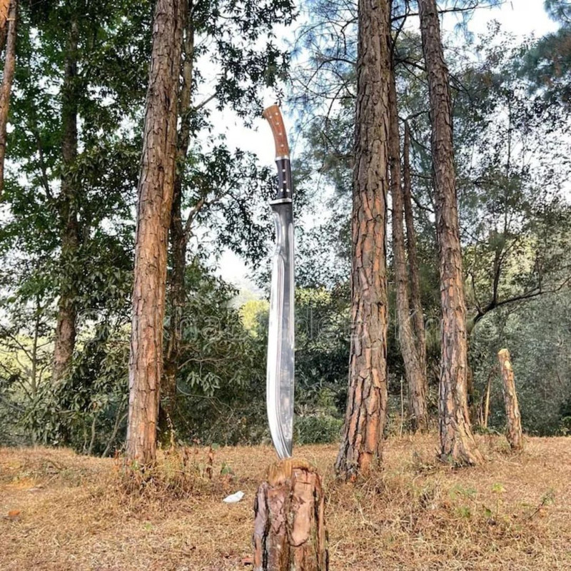 Custom Handmade Carbon Steel Sword Hunting Survival Sword Full Tang Camping Tool (7).jpg