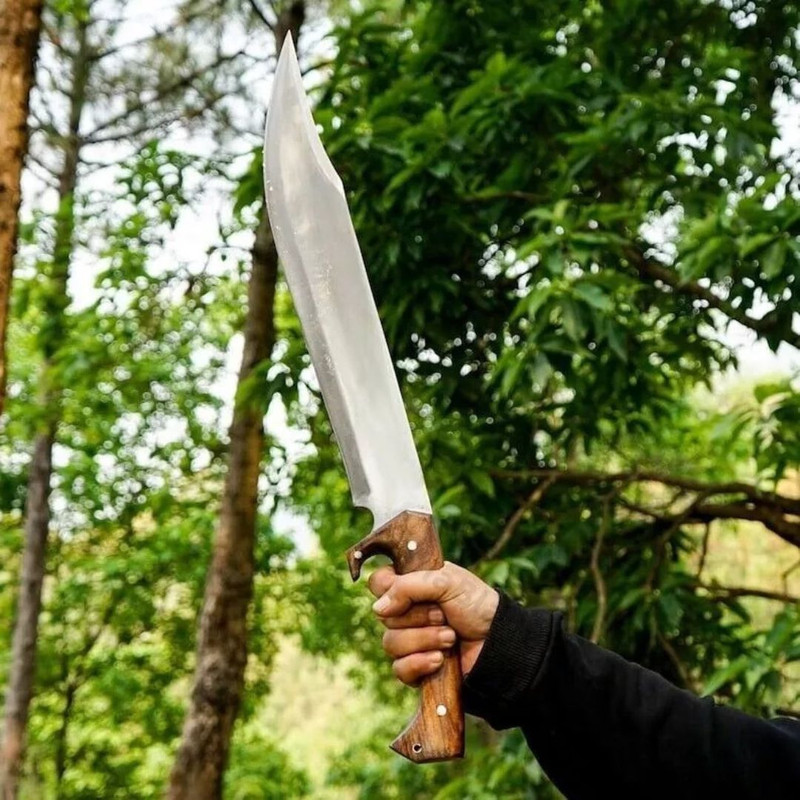 Handmade Carbon Steel Bowie Knife Hunting Survival Machete  Full Tang Camping (1).jpg