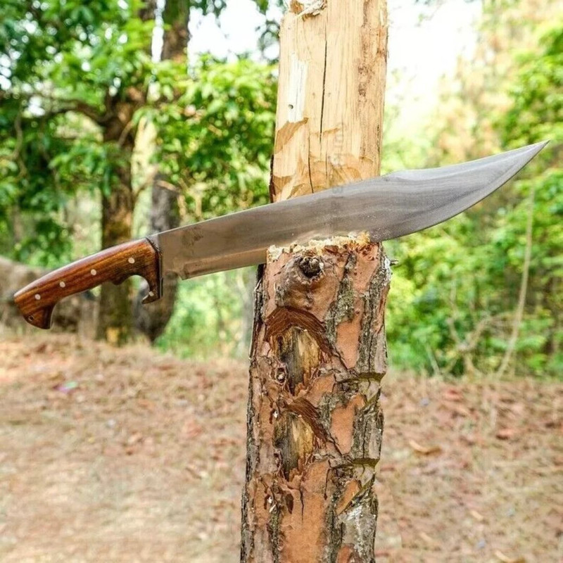Handmade Carbon Steel Bowie Knife Hunting Survival Machete  Full Tang Camping (3).jpg