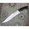Buffalo Horn Full Tang Bowie Knife Custom Handmade Survival Bowie Knife Outdoor.jpg