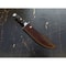 Custom Handmade Bowie Knife D2 Tool Steel Survival Bowie Knife Camping Outdoor (5).jpg