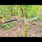 Custom Handmade Tactical Sword Full Tang Viking Sword Carbon Steel Hunting Sword (1).jpg