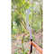 Custom Handmade Tactical Sword Full Tang Viking Sword Carbon Steel Hunting Sword (2).jpg