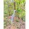 Custom Handmade Tactical Sword Full Tang Viking Sword Carbon Steel Hunting Sword (3).jpg