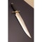 Custom Handmade D2 Steel Bowie Knife Hidden Hunting Survival Bowie Knife Camp.jpg