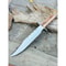 Fixed Blade Bowie Knife Custom Knife Rate Tail Knife Hunting Camping Bowie Knife 0