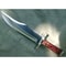 Custom Made Fixed Blade Bowie Knife D2 Steel Hunting Knife Camping Bowie Knife 0