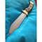 Handmade Custom Bowie Knife D2 Steel Hunting  Outdoor Survival Fixed Blade 0