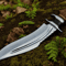 Buy Hand Forged 14 Inch D2 Steel Bowie Knife