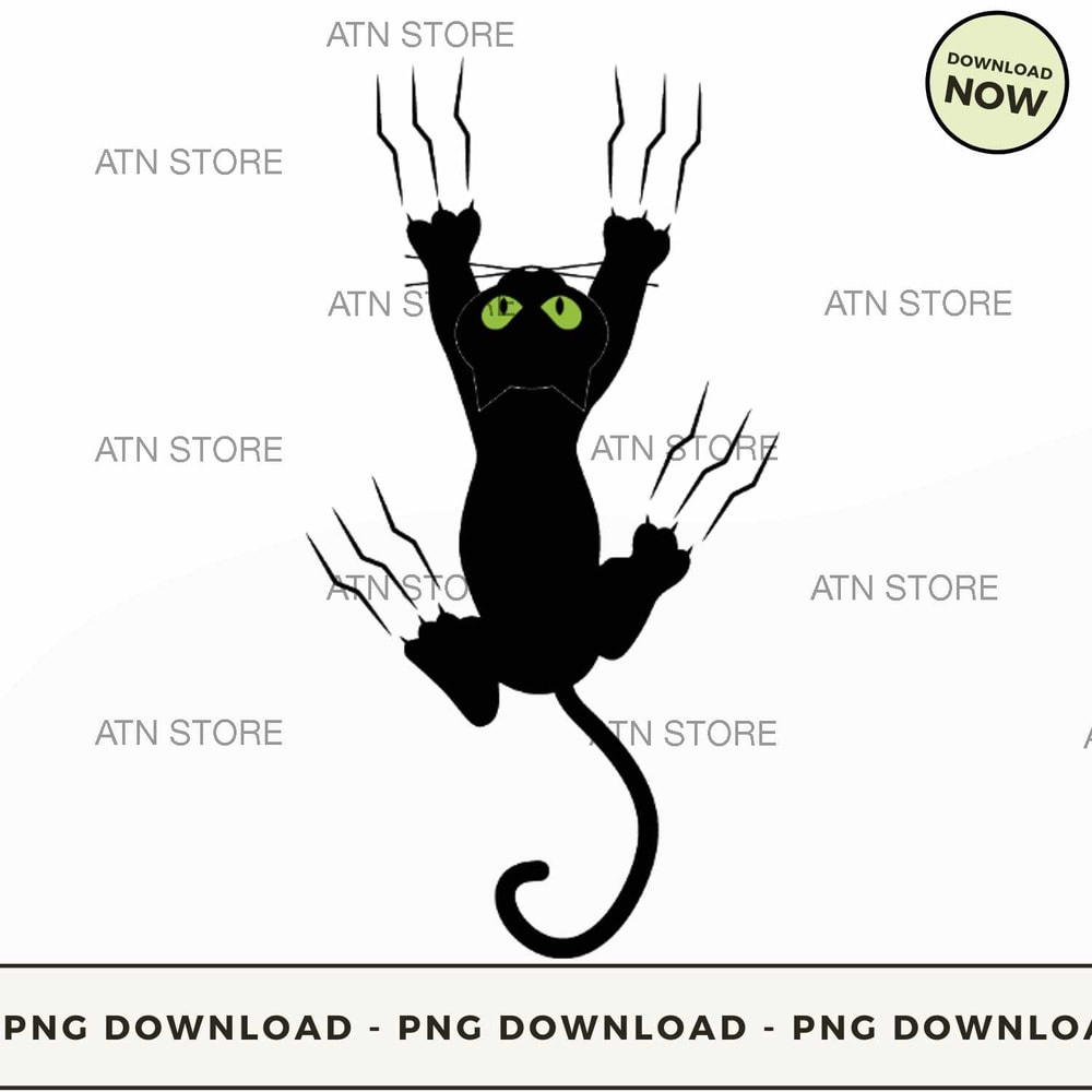 black cat clawing at the t-shirt.jpg