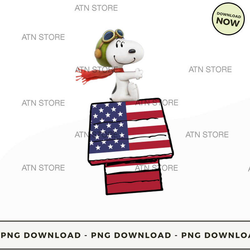 Snoopy On US House.jpg