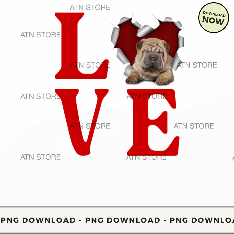 Shar Pei - Love Torn Heart.jpg