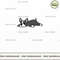 Funny Dog Anatomy Of A Boston Terrier.jpg