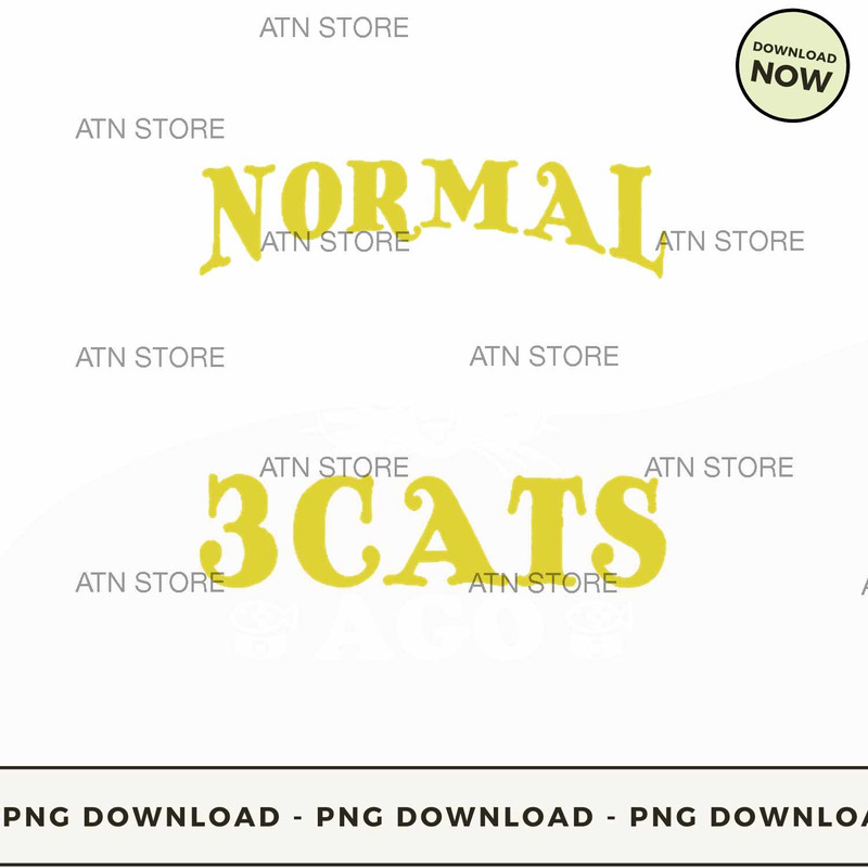 3 CAT.jpg