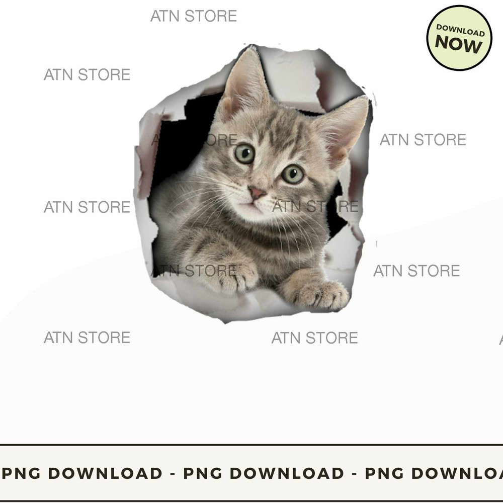 3d cats.jpg