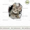 3d cats.jpg