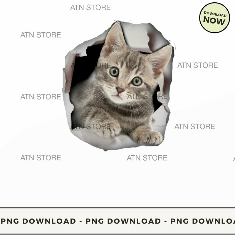 3d cats.jpg