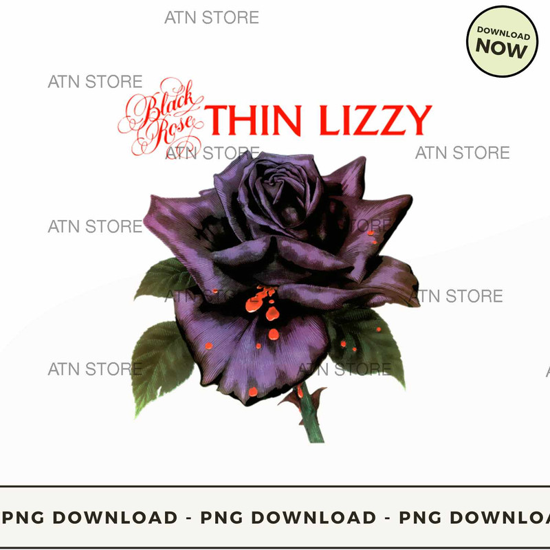 RK70S-444-NVThin Lizzy - Black Rose Rock Band Legend.jpg