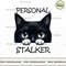 Cat -personal stalker.jpg