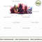 Star Wars Friends - SO3008191HA.jpg