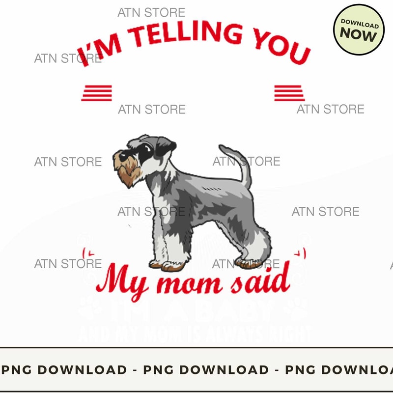 Im not a Miniature Schnauzer Im a baby.jpg