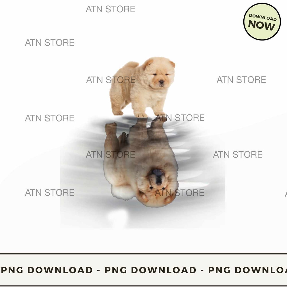 chouchou reflection.jpg