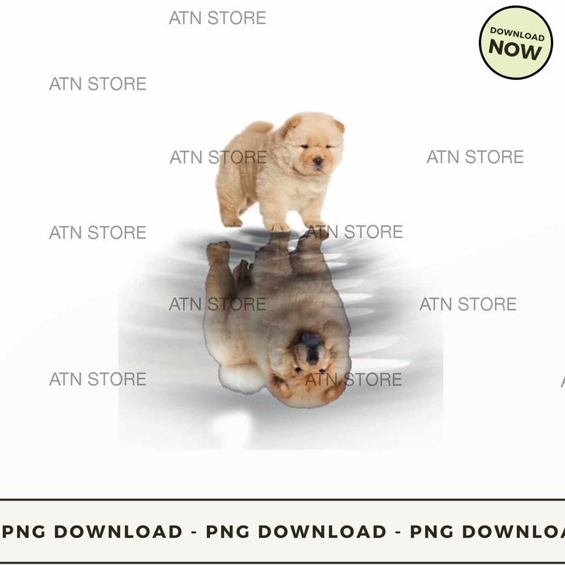 chouchou reflection.jpg