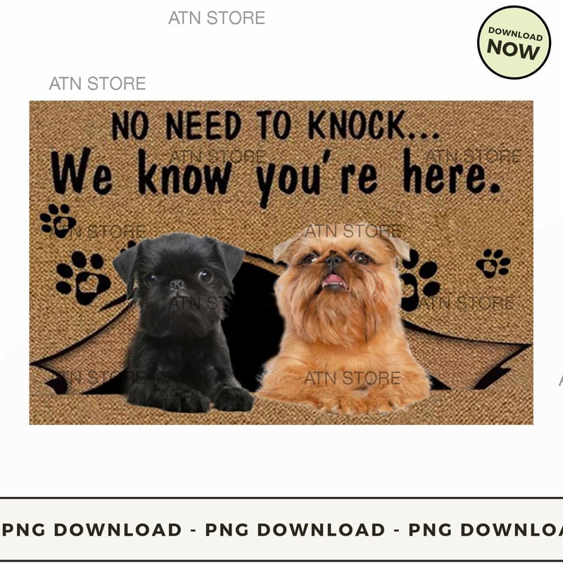 Griffon bruxellois.jpg