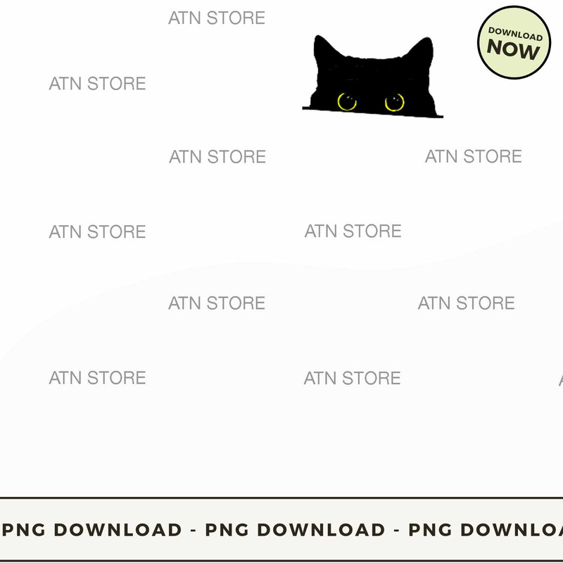 Black Cat in a Pocket.jpg