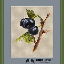 a blackcurrant wish counted cross stitch pattern, pdf, cssaga file, needlepoint cross stitch , cross stitch nature,fruit