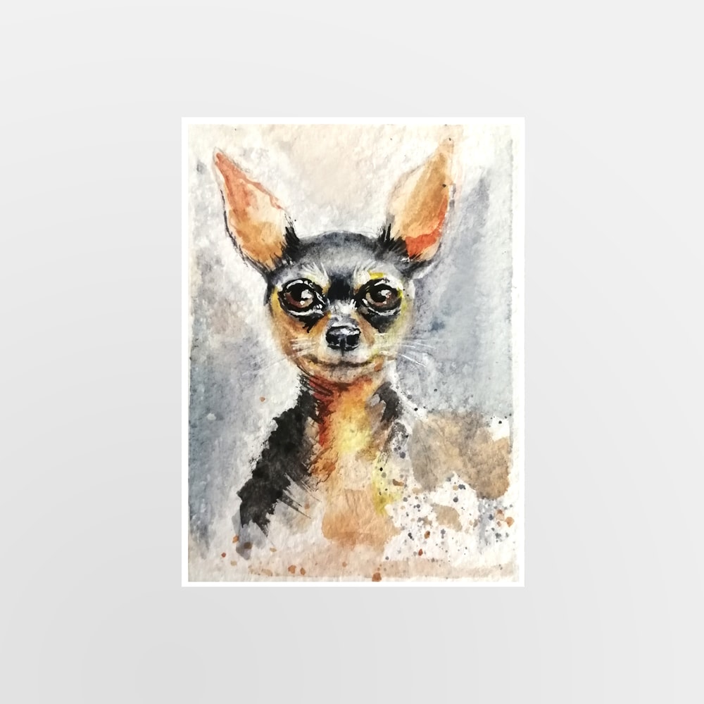 Toy Terrier.jpg