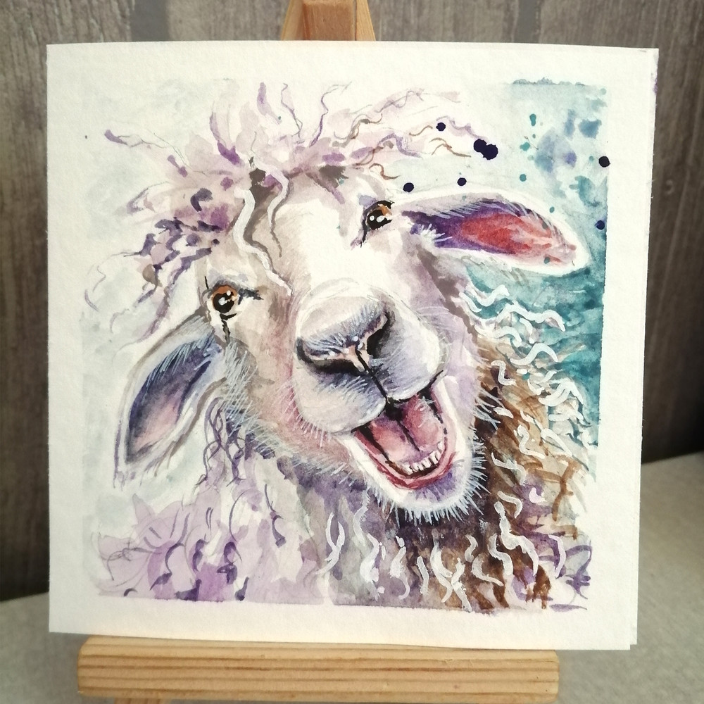 Sheep happy 2.jpg