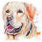 Loyal Friend Dog Watercolor Painting 0