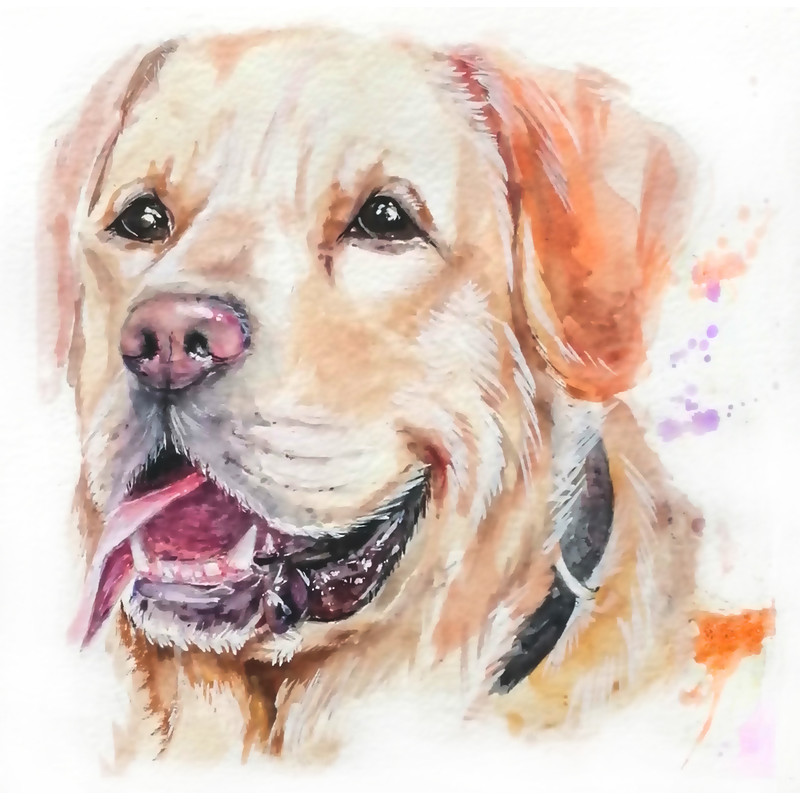 Loyal Friend Dog Watercolor Painting 0