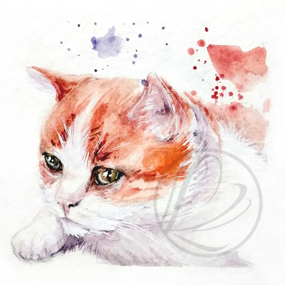 Doughnut Kitty Watercolor Painting 0