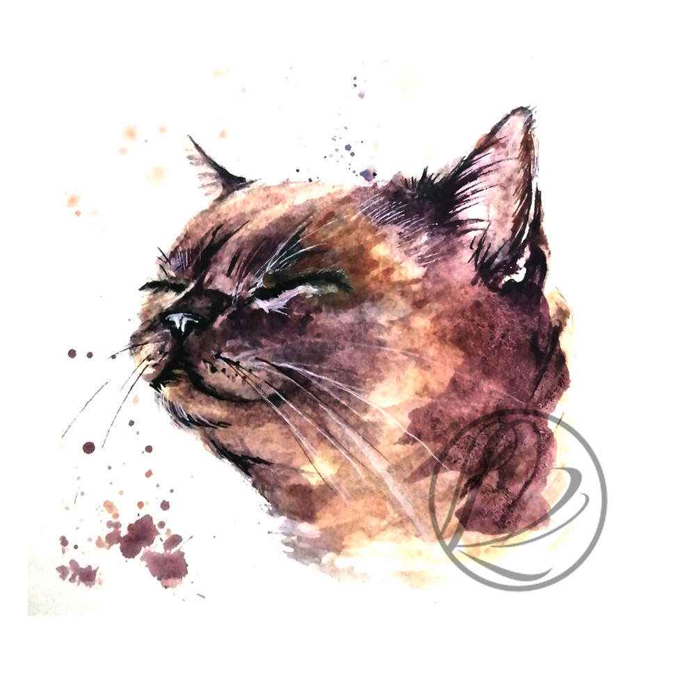 Dreams Of A Cat Watercolor Painting 0