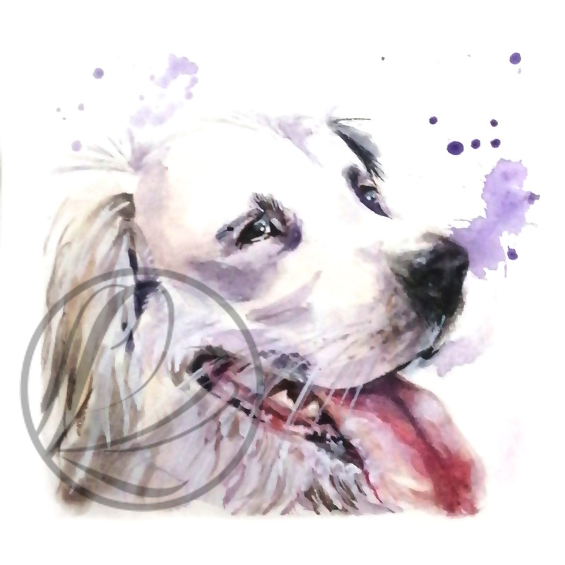 White Bim Black Ear Dog Watercolor Painting 0
