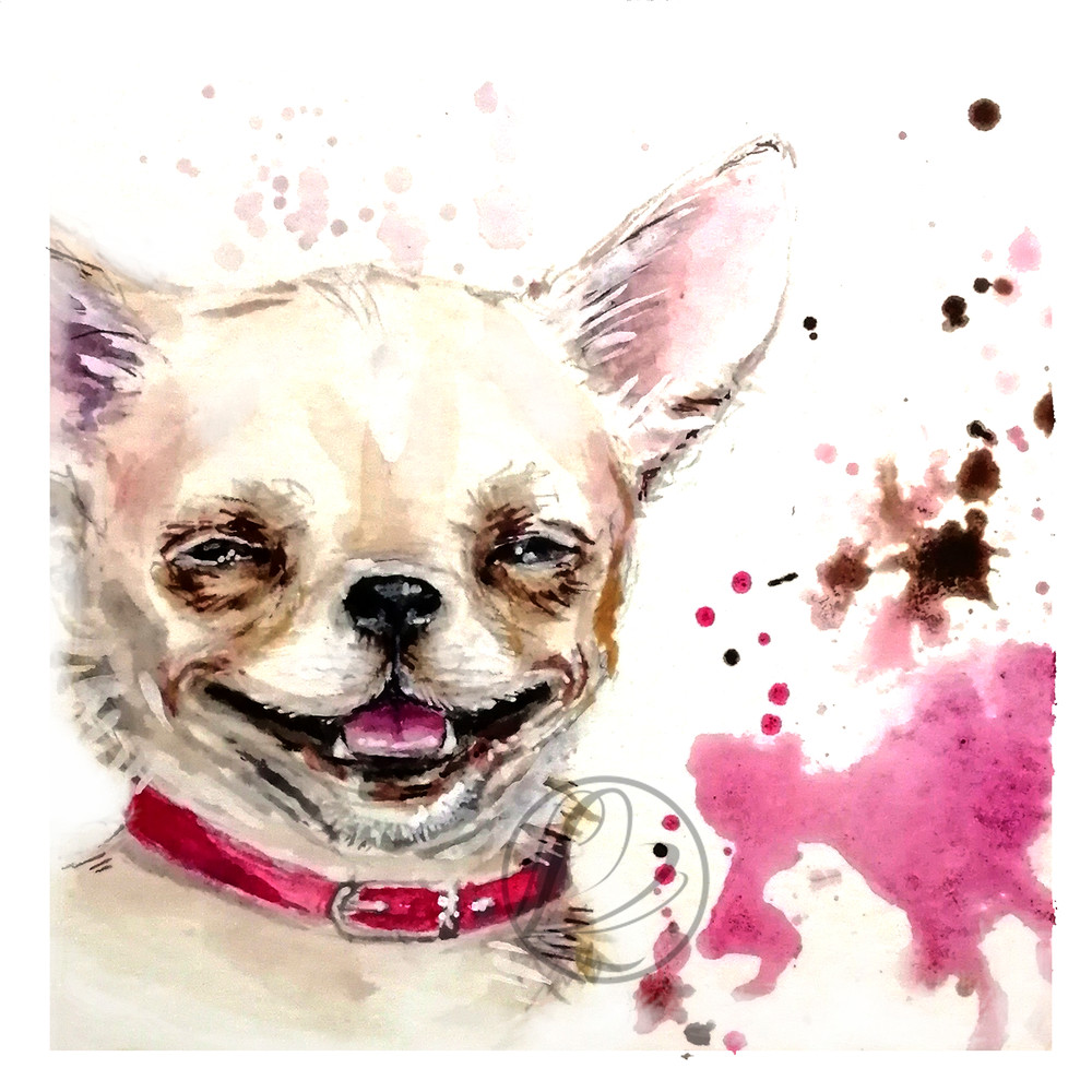 Chihuahua Dog Watercolor Painting 0