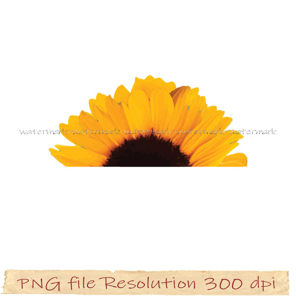 Sunflower sublimation png.jpg