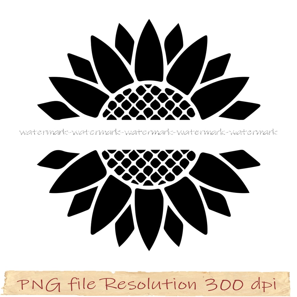 png sunflower.jpg