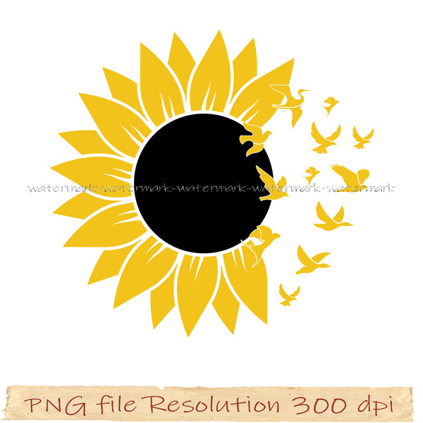 Sunflower png design.jpg